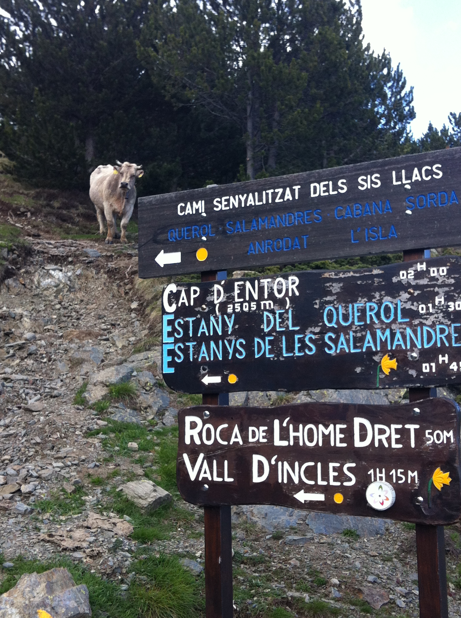 senderismo-hiking-andorra-mountain-hostel-tarter1