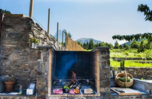 Mountain Hostel Tarter | Terraza