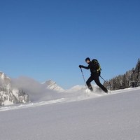 Pasea y deja tus huellas sobre la nieve virgen